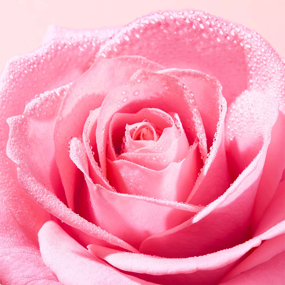 VERY ROSE RADIANCE FACE SCRUB (EXFOLIANTE FACIAL)